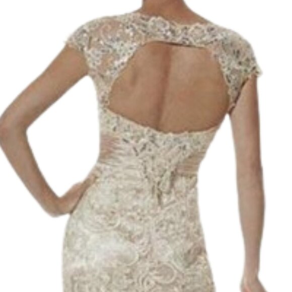 SALE NWT Christina Wu Elegance 20176 Lace Mother of the Bride Dress Cream Size 8 - Picture 3 of 9